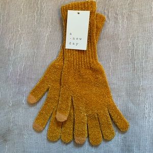 A new day gloves